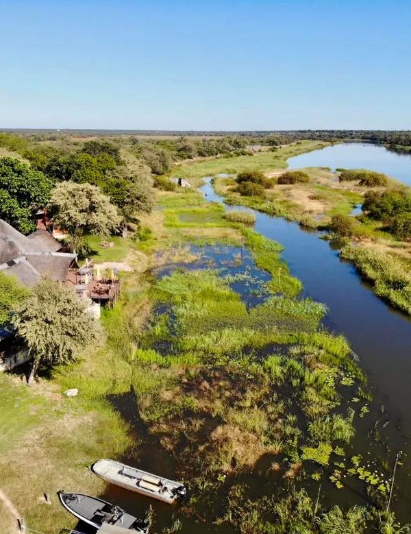 forest-safaris-limited-destinations-botswana-Botswana & Namibia Grand Northbound Explorer Safari-image-05