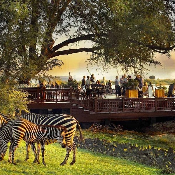 forest-safaris-limited-destinations-zamibia