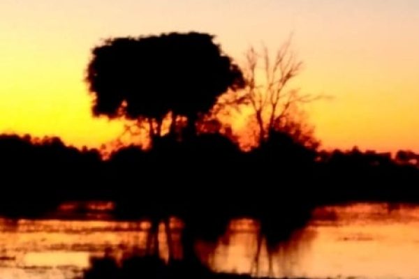 forest-safaris-limited-gallery image19